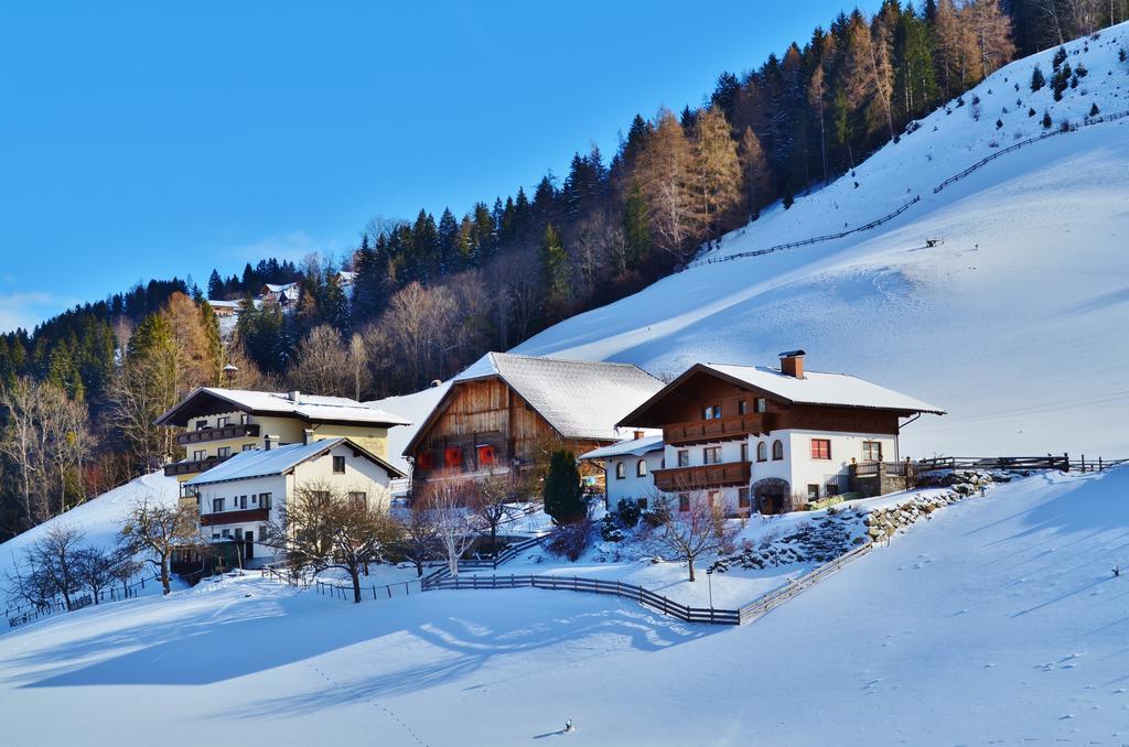 Spreitzhof - Appartements Шладмінг Екстер'єр фото